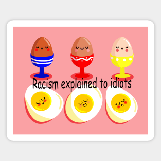 RACISM EXPLAINED TO IDIOTS Magnet